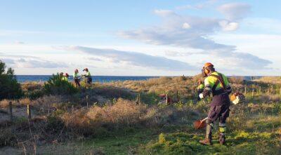 Accions per preservar la biodiversitat als Muntanyans i potenciar la nidificació del corriol camanegre