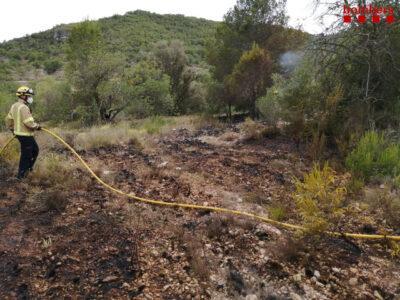 Un foc crema 200 metres quadrats de vegetació a Vespella