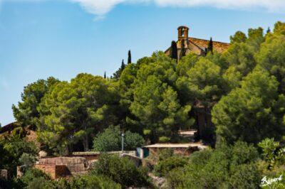 Sortida de senderisme entre Torredembarra i la Pobla de Montornès el 21 de gener