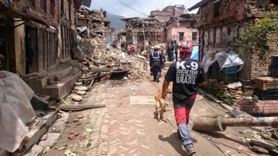 La Unitat Canina K-9 Creixell marxa a Turquia per treballar en les tasques de rescat del terratrèmol