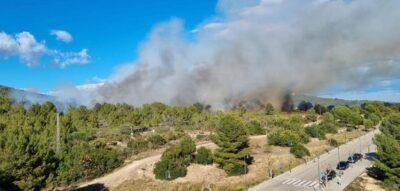 Un incendi forestal a Roda de Berà crema 1,6 hectàrees