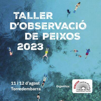 L’11 i 12 d’agost torna un dels clàssics de l’estiu a Torredembarra: el Taller d’observació de peixos