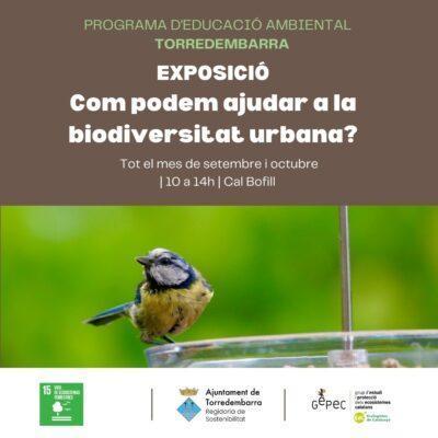 ‘Com podem ajudar a la biodiversitat urbana?’ , l’exposició que es pot visitar a Cal Bofill fins a finals d’octubre