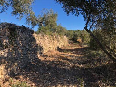 L’Ajuntament del Catllar inicia treballs de millora en l’antic camí de Vespella