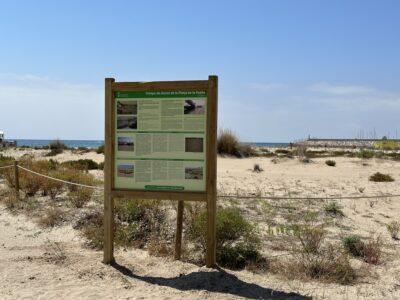 Instal·lació de cartelleria informativa al camp de dunes experimental de la Platja de la Paella de Torredembarra