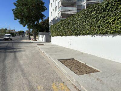 Es repara la vorera i es replanten arbres a la carretera de la Pobla de Montornès