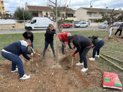 La Festa de l’arbre se celebrarà el 30 de novembre a la Zona Esportiva Municipal