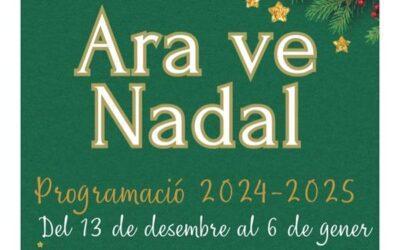 Àmplia oferta d’activitats per gaudir les festes de Nadal amb família a Altafulla