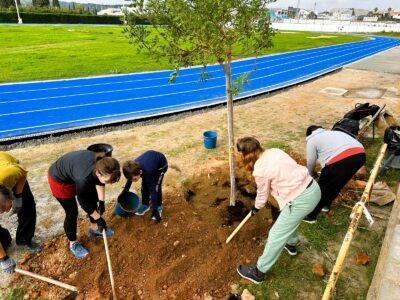 Torredembarra planta un centenar d’arbres i arbustos per promoure la biodiversitat i combatre el canvi climàtic