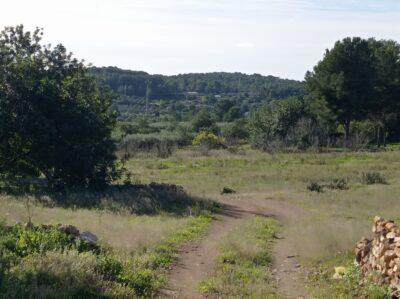 El projecte d’un càmping a la Riera de Gaià generà polèmica al Baix Gaià