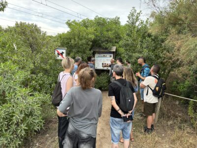 L’Ajuntament de Torredembarra presenta el programa d’educació ambiental 2025