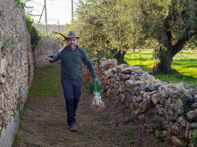 REPORTATGE l El rei dels calçots és torrenc